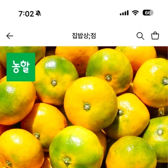 롯데온) 제주 제철 산지 직송 햇 극조생 감귤 5kg 6,990원