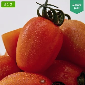 스테비아 토망고 500g 4팩