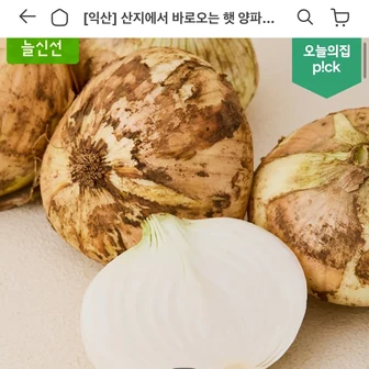 특품 햇 양파 3kg 실중량