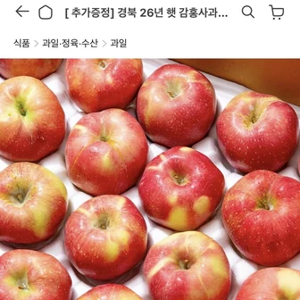 [오늘의집] 경북 26년 햇 감홍사과 2kg (8,820원/무배)