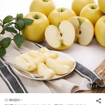 시나노골드 사과 1박스 1.5KG 특등급