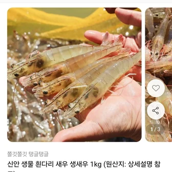 [11번가] 흰다리새우 1kg 40-45미 내외 (16,900원 / 무배)